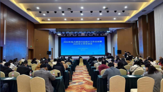 中国电力建设企业协会组织召开2024年电力建设行业统计工作总结暨2025年工作交流会